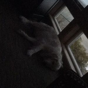 Meet your Posher, Devonne